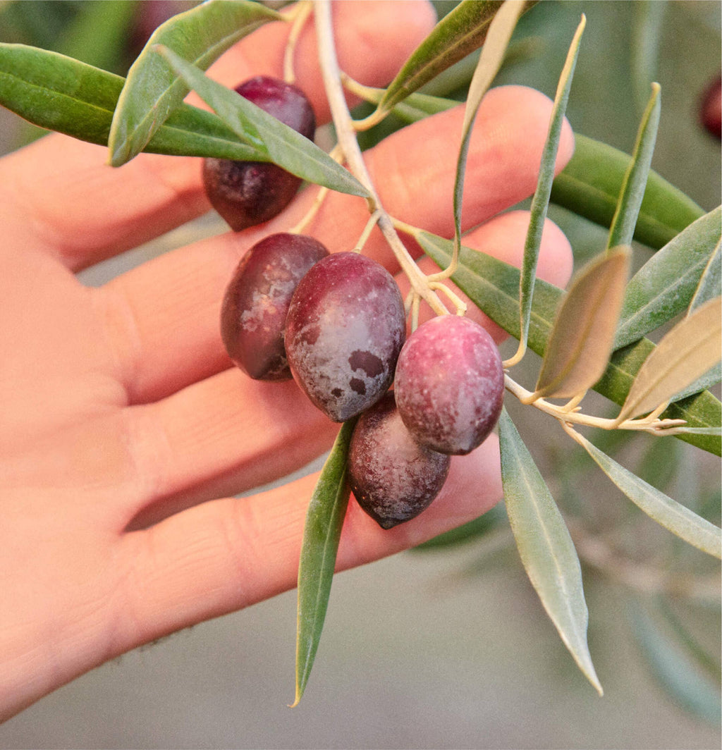 "Sizzle" Squeeze Bottle