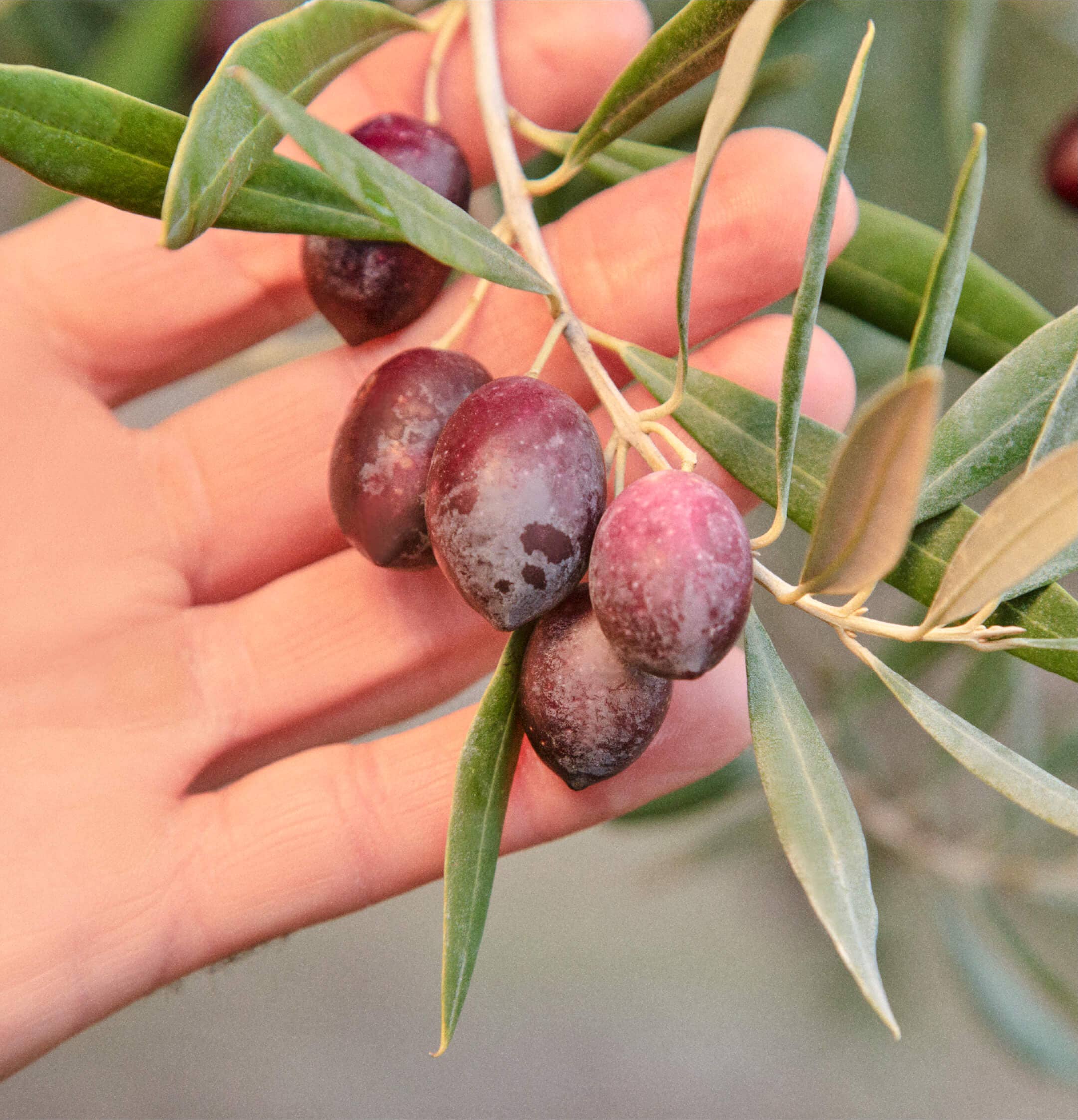 "Sizzle" Squeeze Bottle