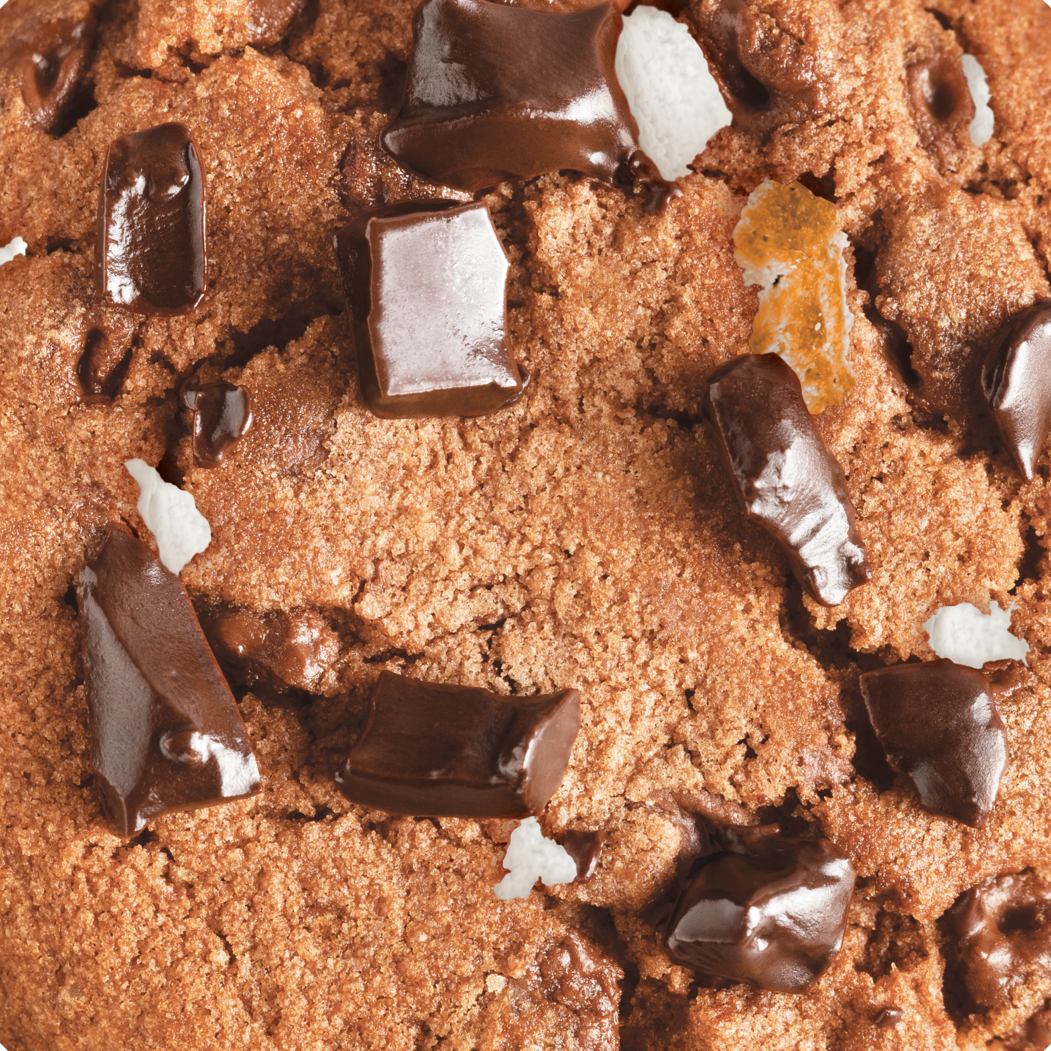 Toto - S'mores Cookie